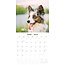 Calendrier Welsh Corgi 2025