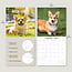 Calendrier Welsh Corgi 2025