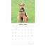 Calendrier Welsh Terrier 2025