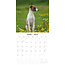 Calendrier Whippet 2025