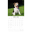 Fox Terrier Ruwhaar Kalender 2025