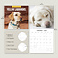 Calendario Labrador Retriever Rubio 2025