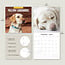 Labrador Retriever Blond Kalender 2025