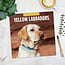 Calendario del Labrador Retriever biondo 2025