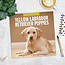 Labrador Retriever Blond Puppies Kalender 2025