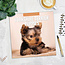 Calendario dei cuccioli di Yorkshire Terrier 2025