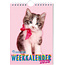 Calendrier hebdomadaire Rachael Hale Kittens 2025