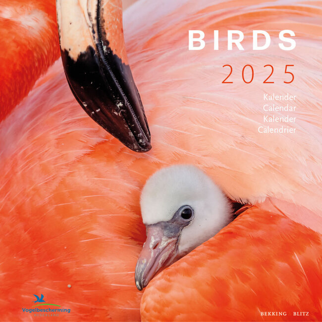 Bekking & Blitz Birds Calendar 2025