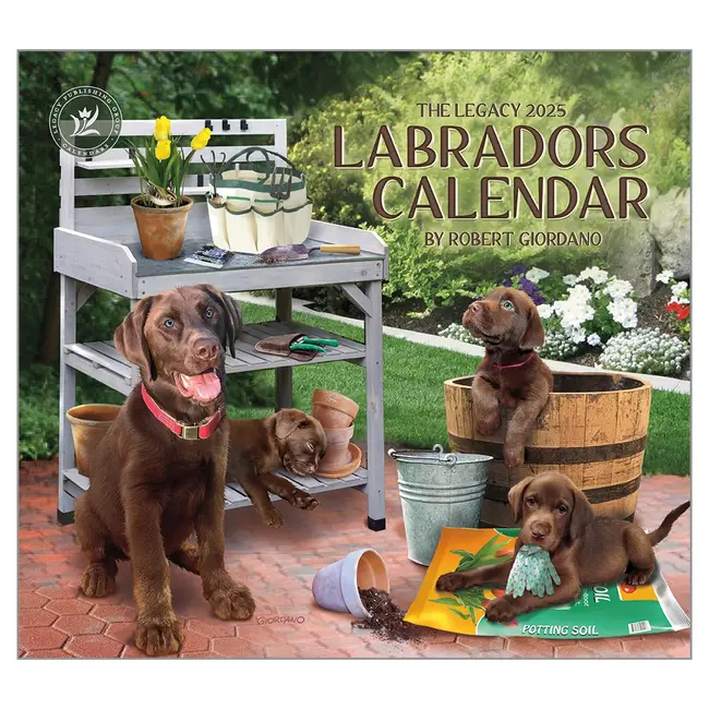 Labradors Calendar 2025