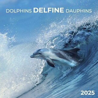 Tushita Delphin-Kalender 2025