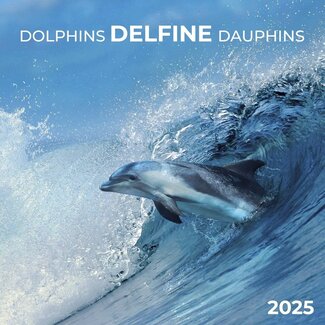 Tushita Dolfijnen Kalender 2025