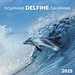 Tushita Calendario Delfín 2025