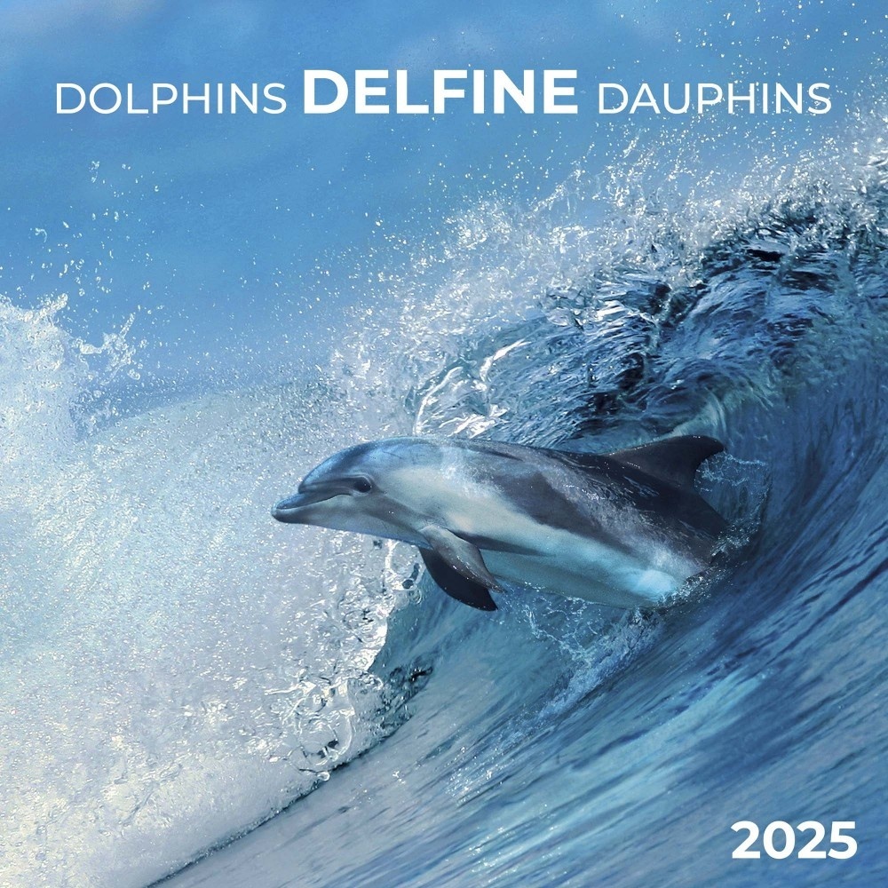 Acheter le Calendrier Dauphin 2025 ? Commande en ligne rapidement et