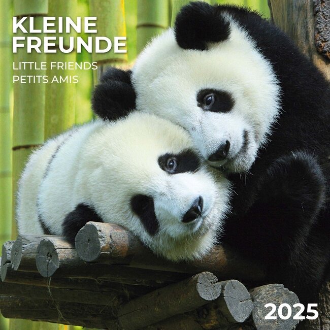 Kleine Freunde Kalender 2025