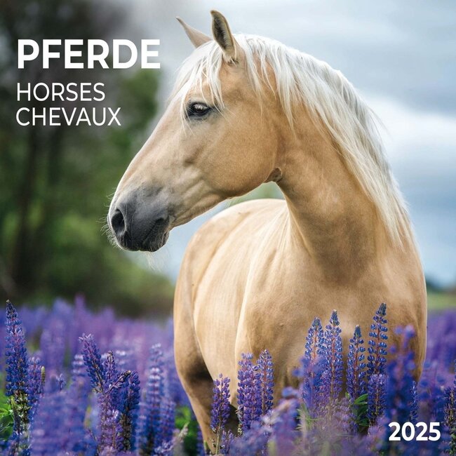 Calendrier des chevaux 2025