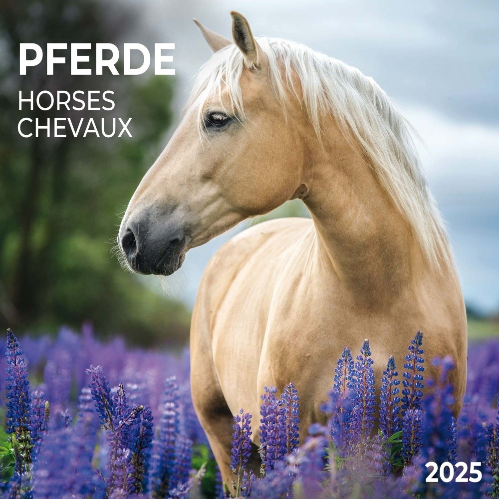 Paarden Kalender 2025 Kopen? Bestel eenvoudig en snel online