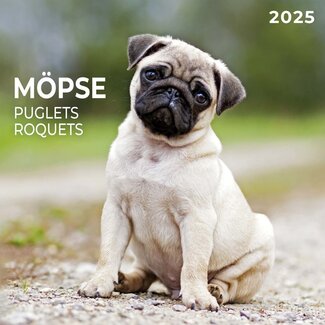 Tushita Mops-Kalender 2025