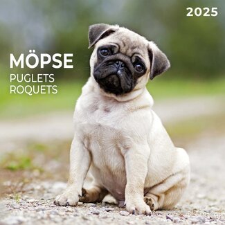 Tushita Pug Calendar 2025