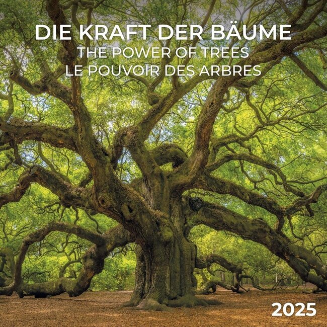 Bäume Kalender 2025