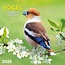 Vogels Kalender 2025