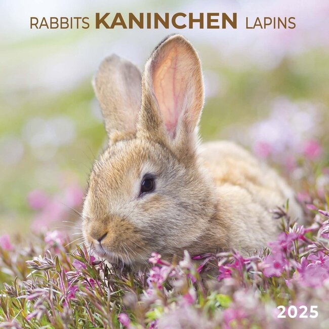 Kaninchen Kalender 2025