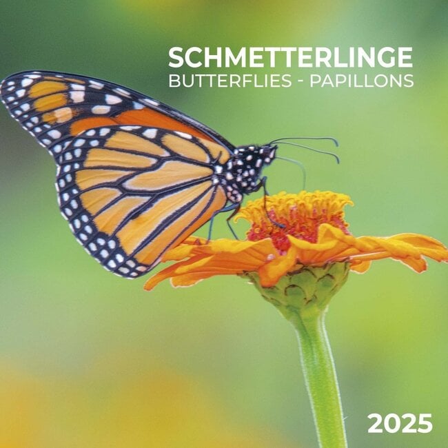 Butterfly Calendar 2025