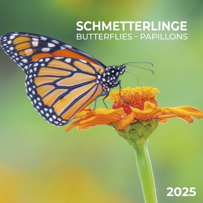 Calendario delle farfalle 2025