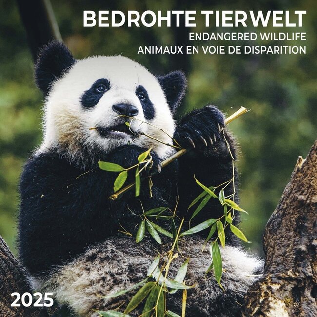 Tushita Wildtierkalender 2025