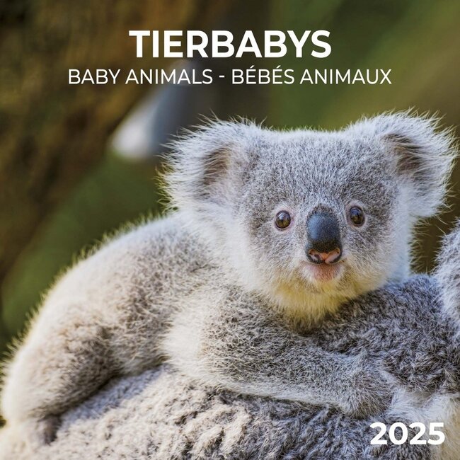 Baby-Tiere Kalender 2025