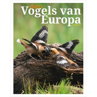 Edicola Les oiseaux d'Europe de l'Inge s Agenda 2025