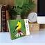 Garden Birds Calendar 2025 Boxed