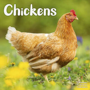 Chicken calendar