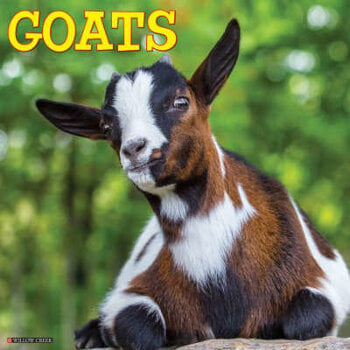 Goat calendar