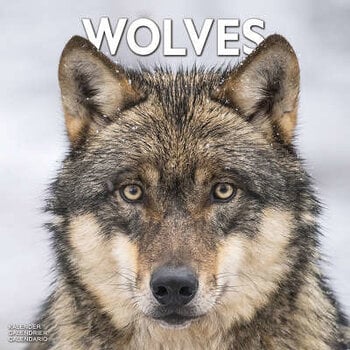 Wolf calendar