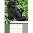 Calendrier A3 Monkeys 2025