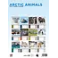 Animales del Ártico Calendario A3 2025