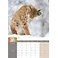 Arktische Tiere A3 Kalender 2025