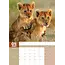 Baby Animals A3 Calendar 2025