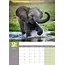 Baby Animals A3 Calendar 2025