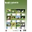 Baby Goats Calendario A3 2025