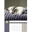 Baby Goats A3 Calendar 2025