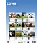 Cows A3 Calendar 2025