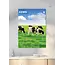 Cows A3 Calendar 2025