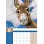 Burro Calendario A3 2025