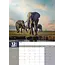 Eléphants Calendrier A3 2025