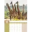 Calendario A3 Giraffe 2025