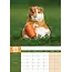 Cavia A3 Kalender 2025