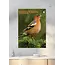 Oiseaux de jardin Calendrier A3 2025