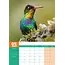 Calendario A3 Colibrì 2025