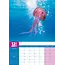 Calendrier Jellyfish A3 2025